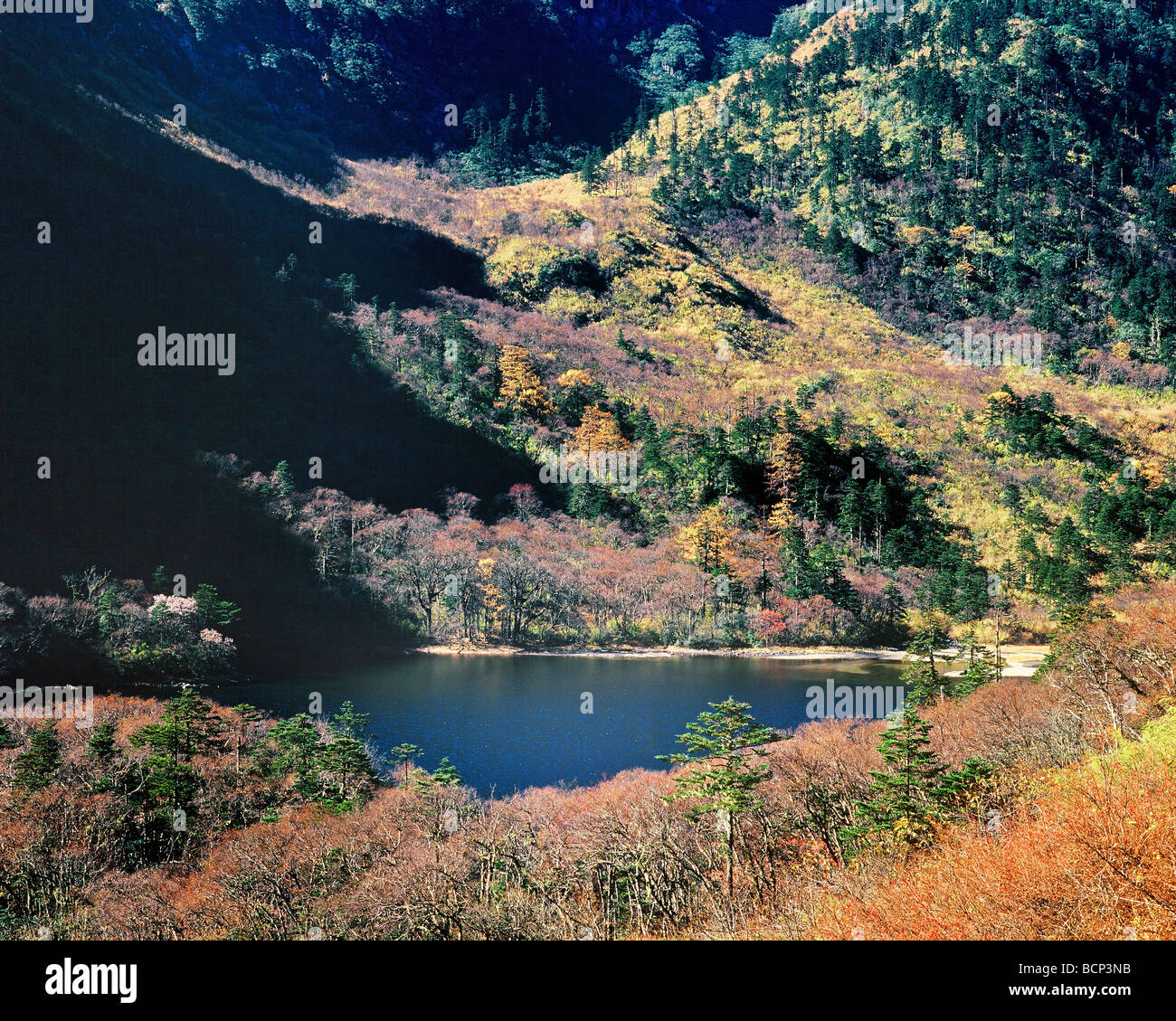 Weixi lisu hires stock photography and images Alamy