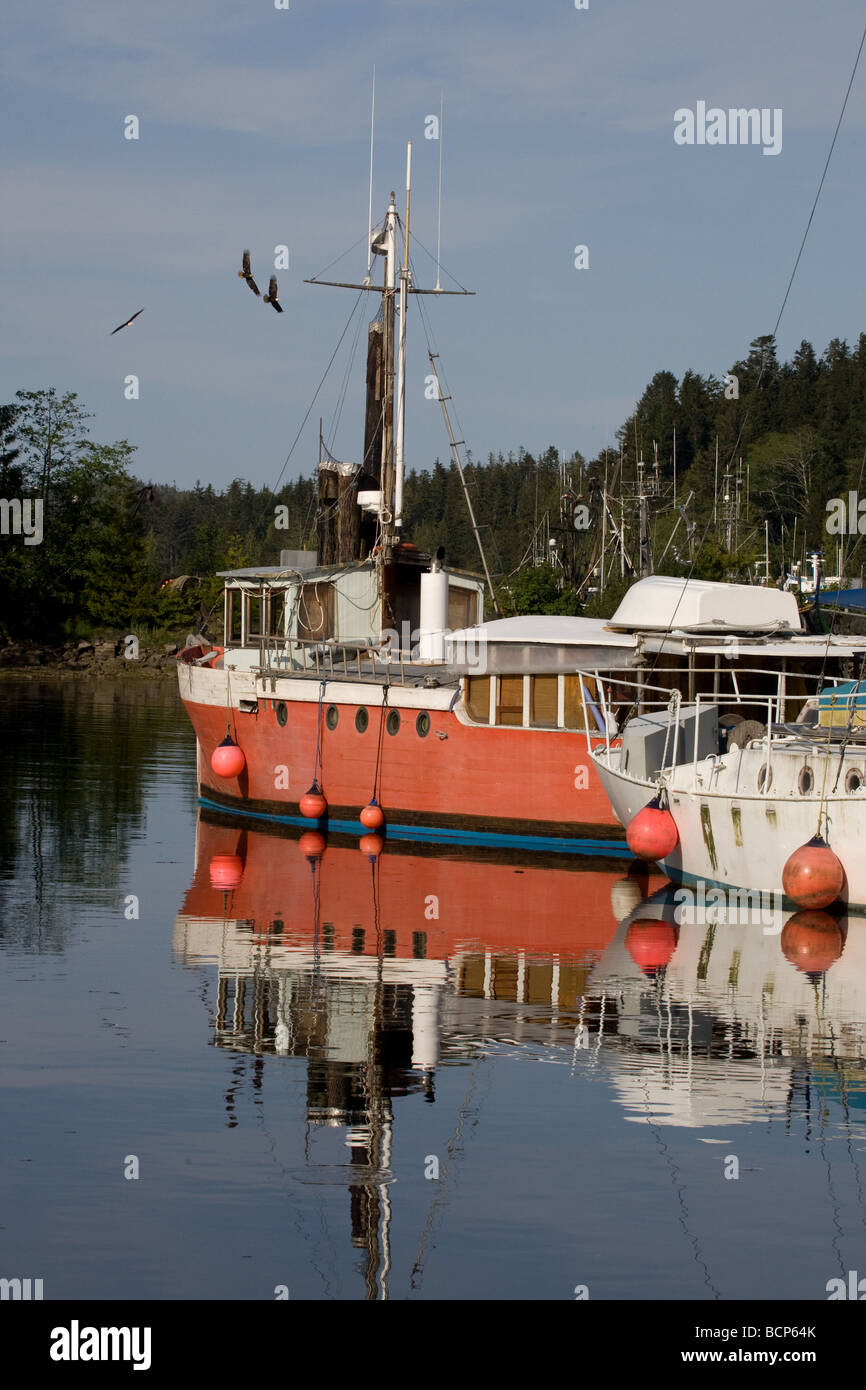 Port Hardy marina with distant circling Bald Eagles, Port Hardy, Vancouver Island, British Columbia, Canada Stock Photo