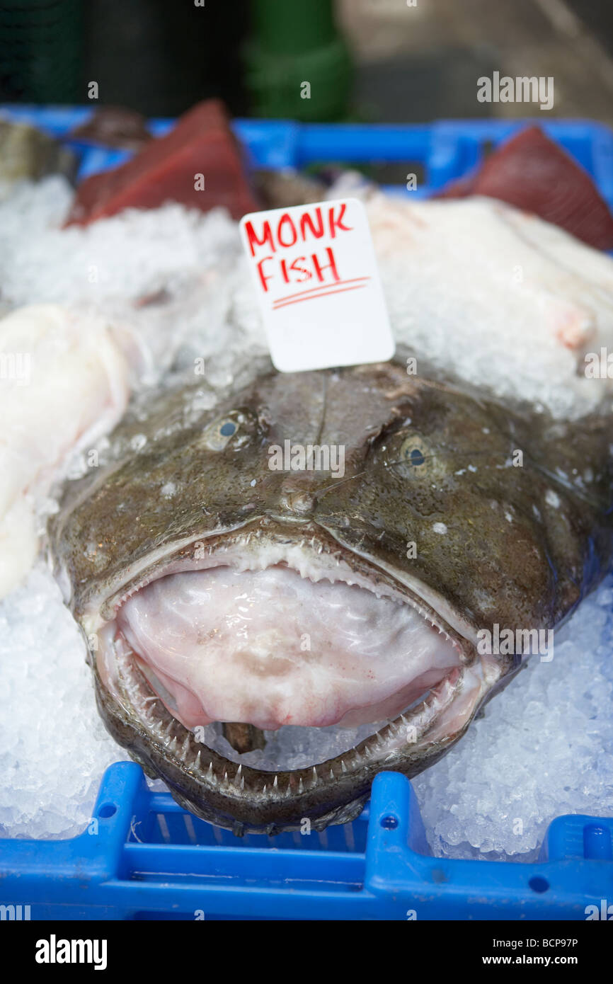 Monkfish on display for sale at a fishmongers stall Stock Photo
