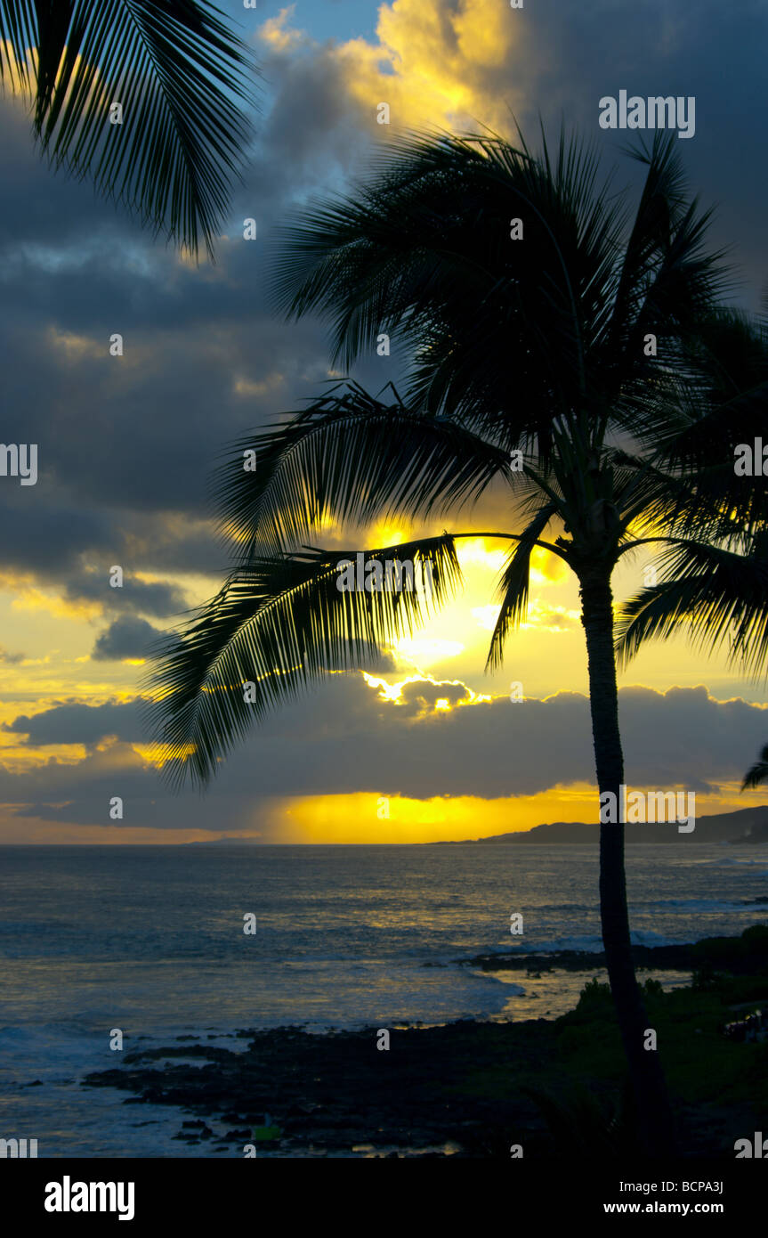 Sunset hawaii palm tree hi-res stock photography and images - Alamy