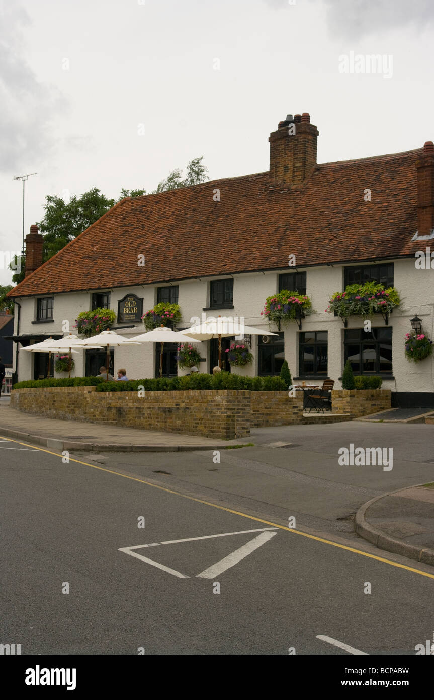 The old bear hires stock photography and images Alamy