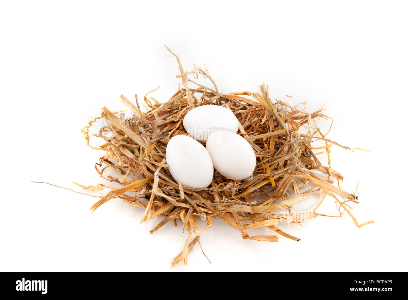 straw bird nest with white eggs isolated Stock Photo - Alamy