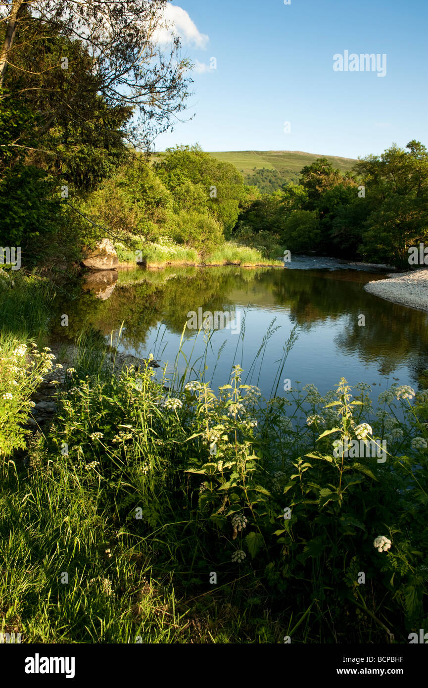 A tranquil quite peaceful calm summer evening River wye flowing near Rhayader Powys mid wales UK Stock Photo