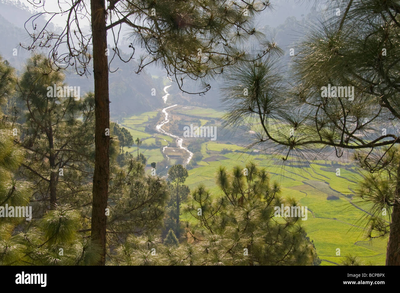 Views of the lower himalayas hi-res stock photography and images - Alamy