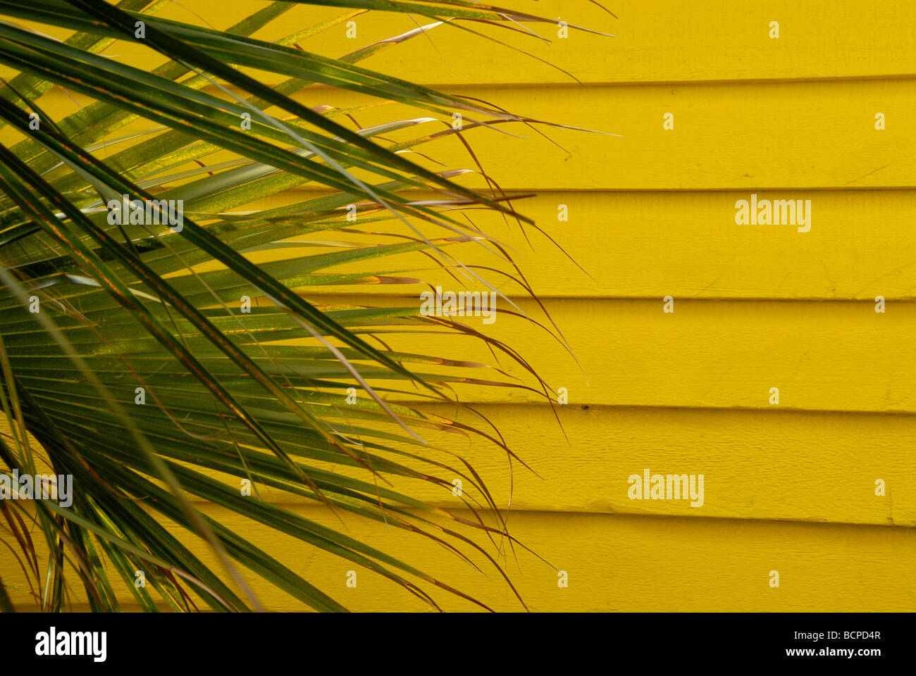 Bright yellow wooden planks Pensacola Florida Stock Photo