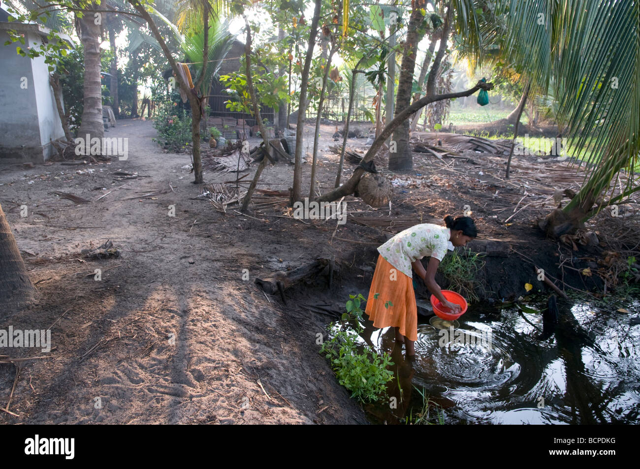 Keralan woman washing dishes in river outside family home in the Backwaters, Kerala, Southern India, India Stock Photo