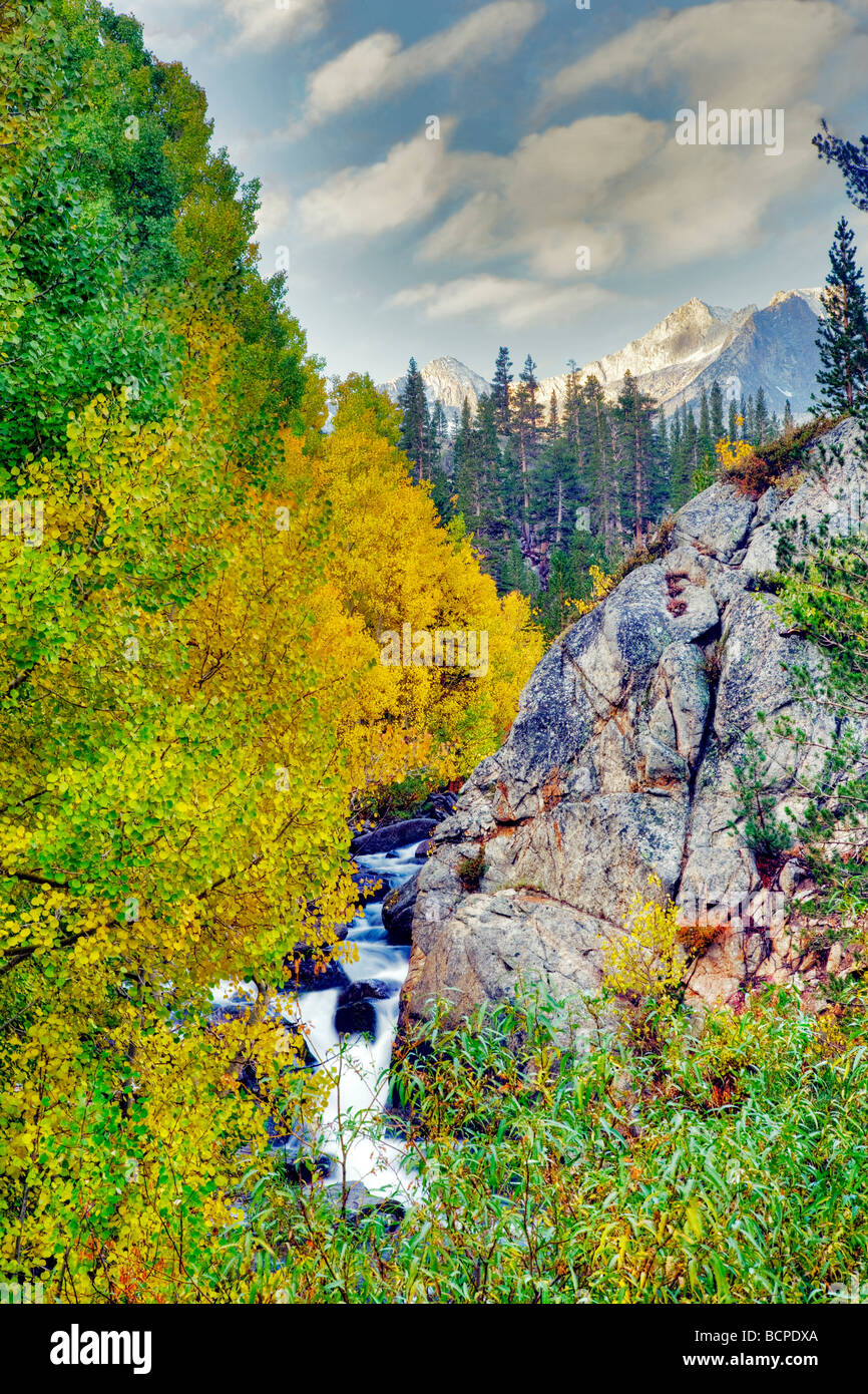 South fork Creek with fall colored aspens Inyo National Forest