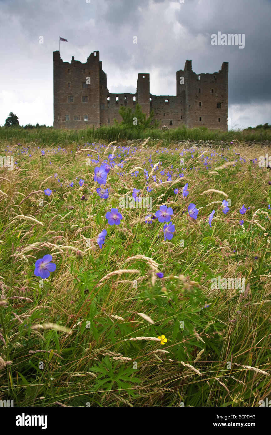 Wild Flower Meadow Castle Bolton Wensleydale North Yorkshire Stock Photo