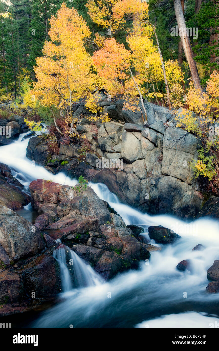 South fork Bishop Creek with fall colored aspens Inyo National Forest Eastern Sierras California Stock Photo
