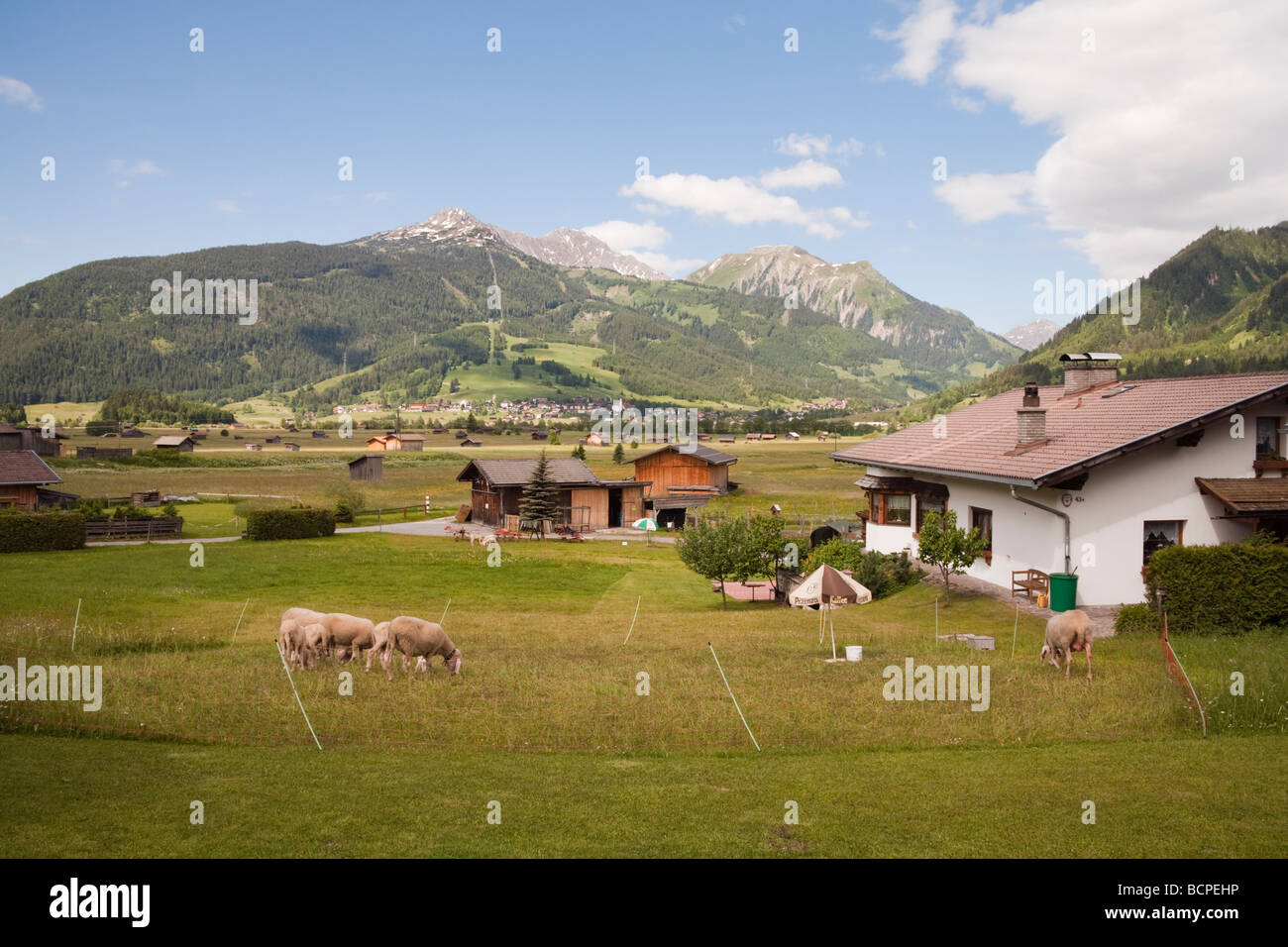 Ehrwald Tyrol Austria Europe Sheep chalets and wooden barns in Alpine valley with view to Lermoos village in summer Stock Photo