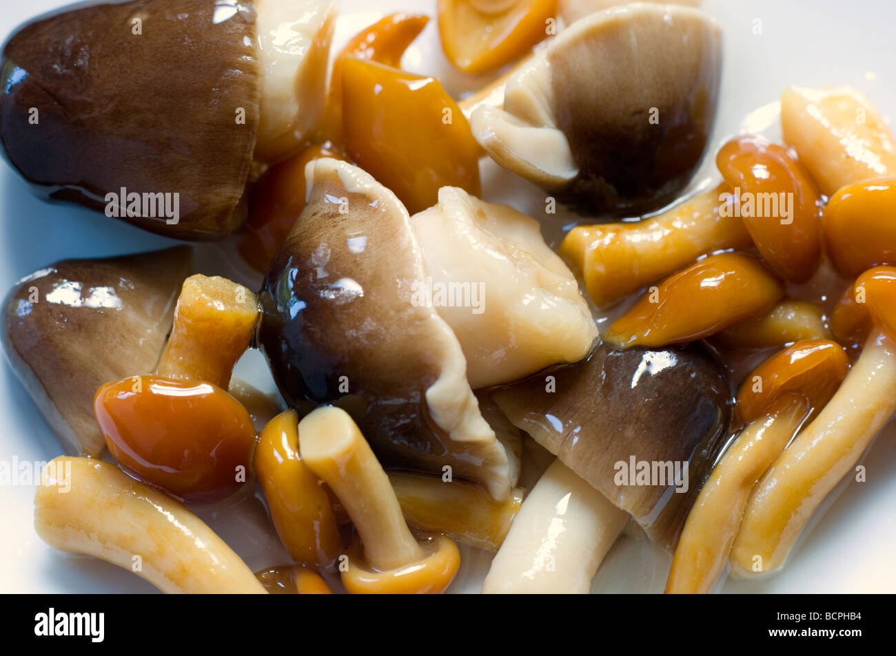 Mushrooms in oil Stock Photo