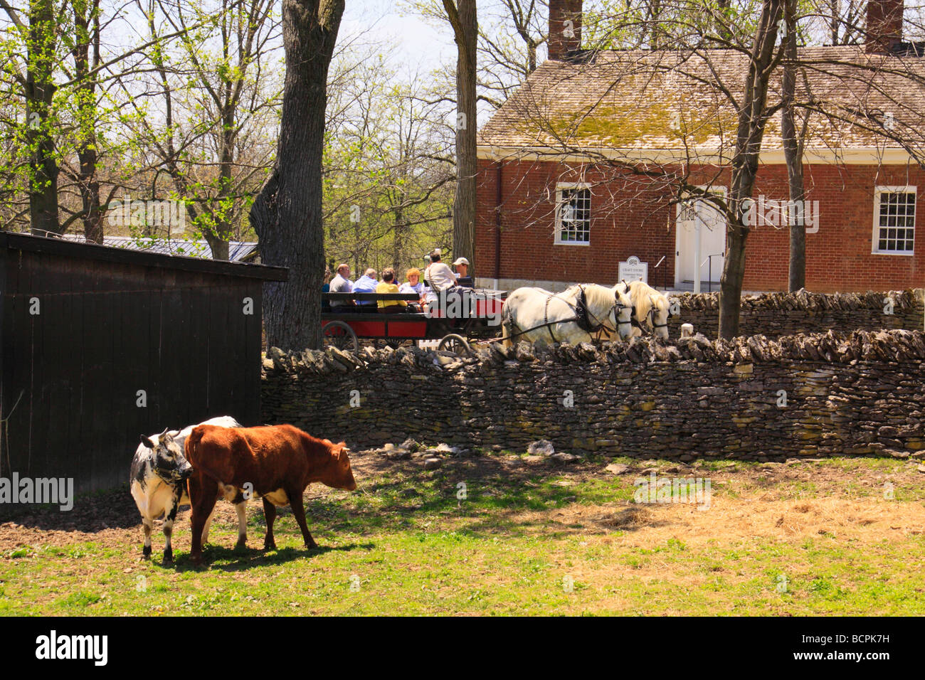 Horse drawn wagon transports tourists at Shaker Village of Pleasant