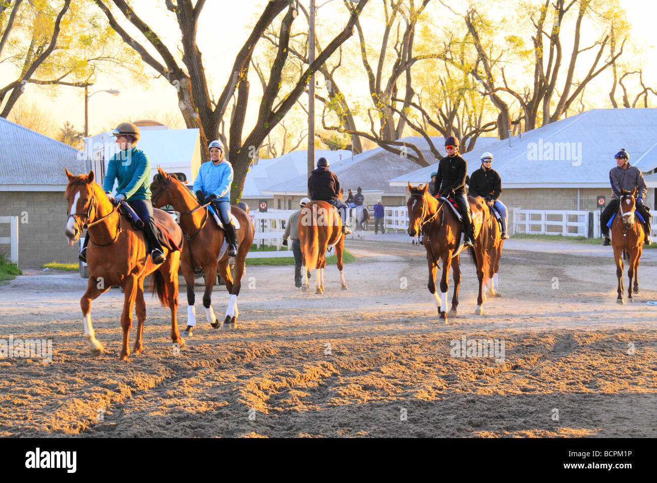 Exercise riders with thoroughbreds enter track during early morning ...