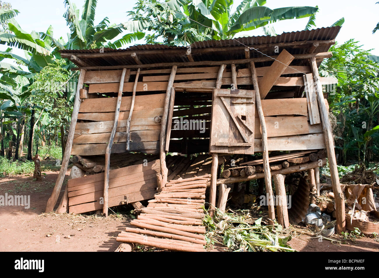Tumbledown shack in back woods rural Uganda Stock Photo