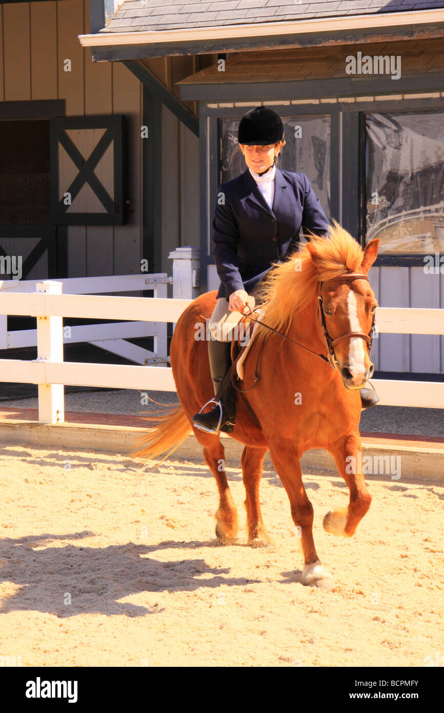 Horse and rider perform during Parade of Breeds Kentucky Horse Park