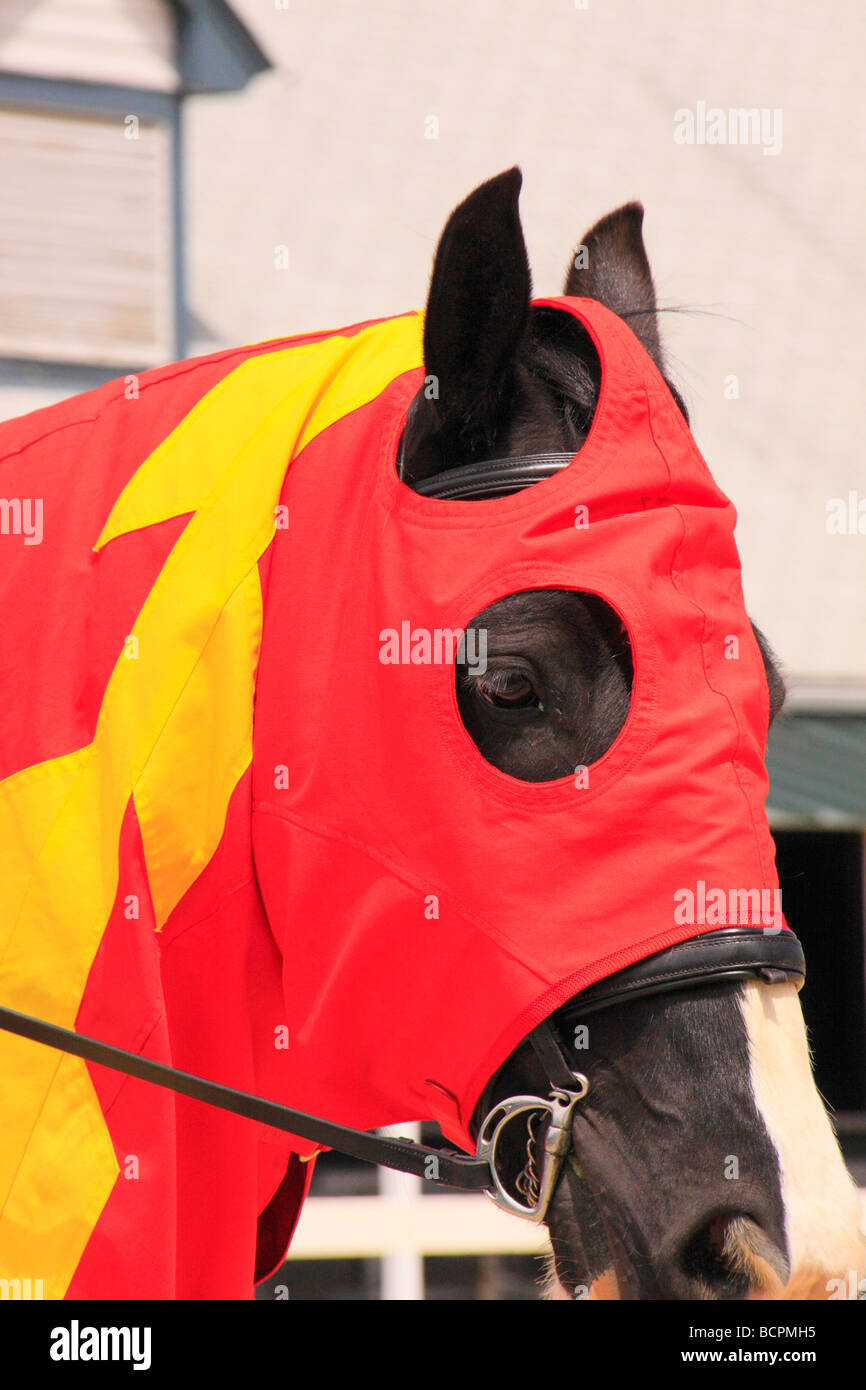 Horse wearing costume during Parade of Breeds Kentucky Horse Park