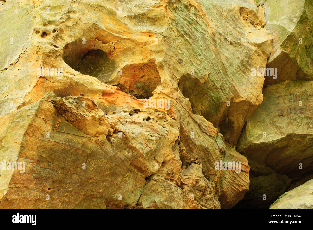 Close up of the Natural Bridge Natural Bridge State Resort Park Slade