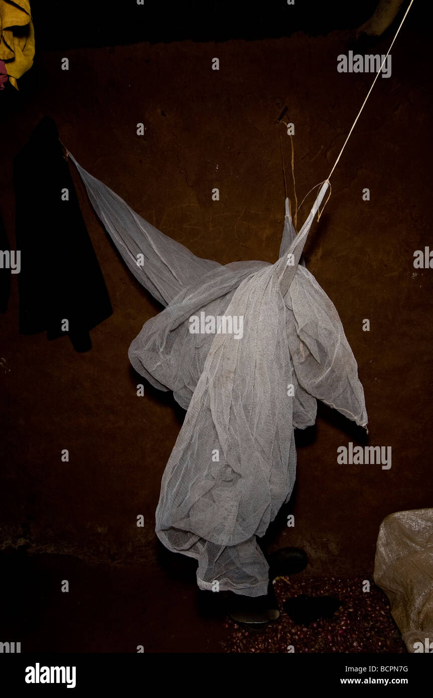 Mosquito net malaria hires stock photography and images Alamy