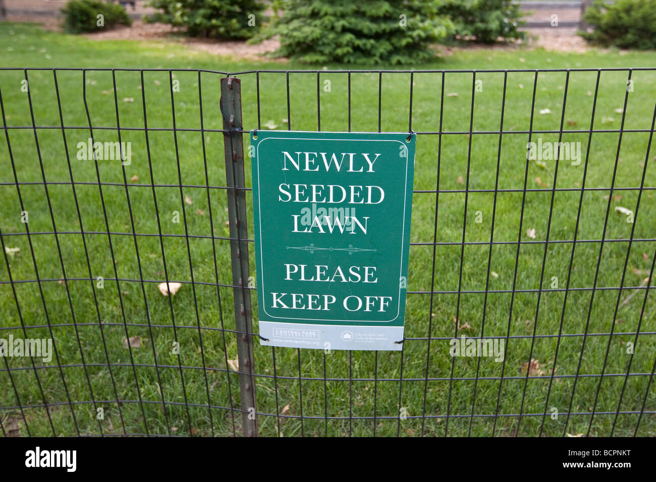 A sign on a railing reads Newly seeded lawn please keep off in Central