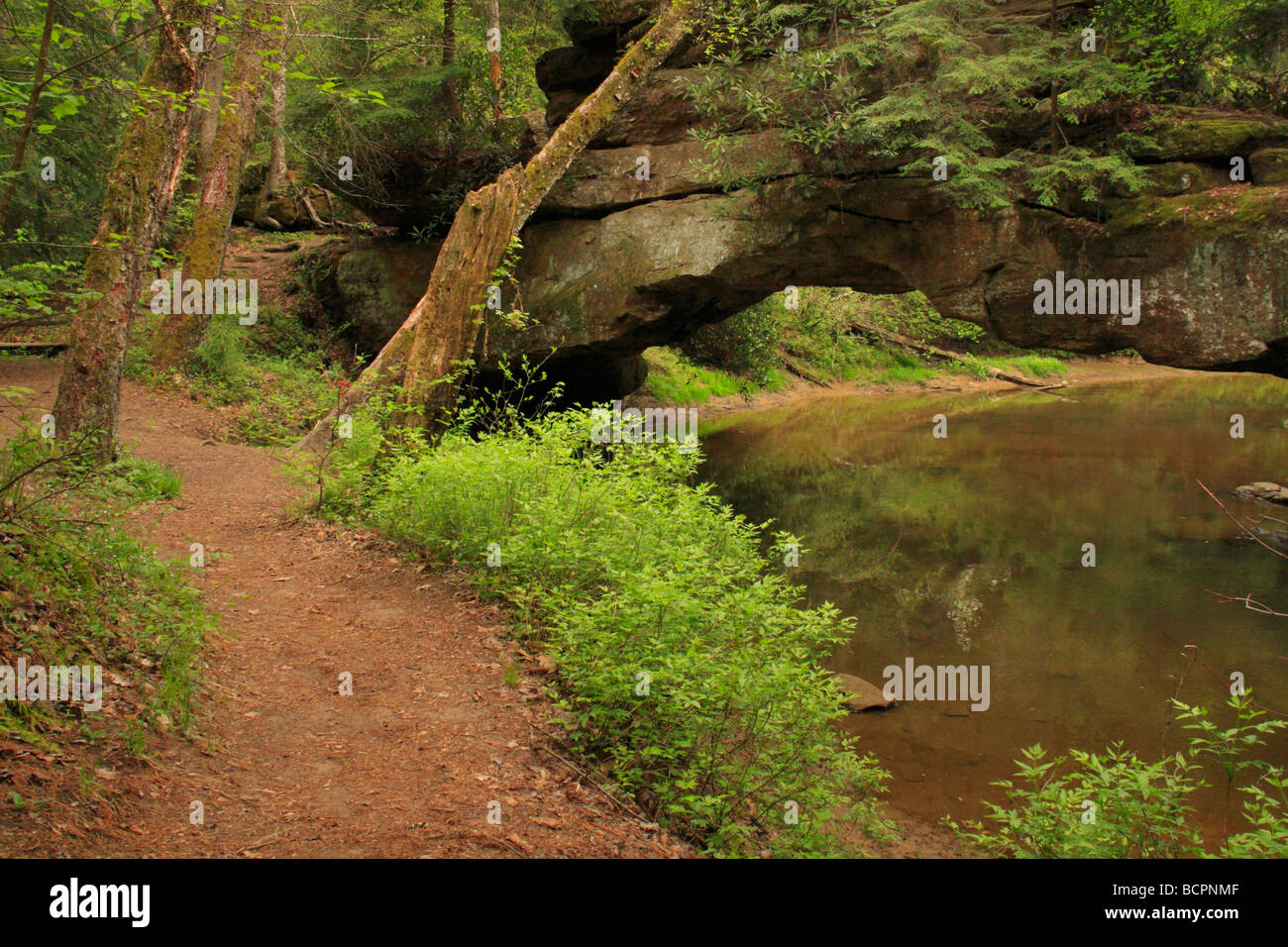 Rock Bridge Red River Geological Area Slade Kentucky Stock Photo