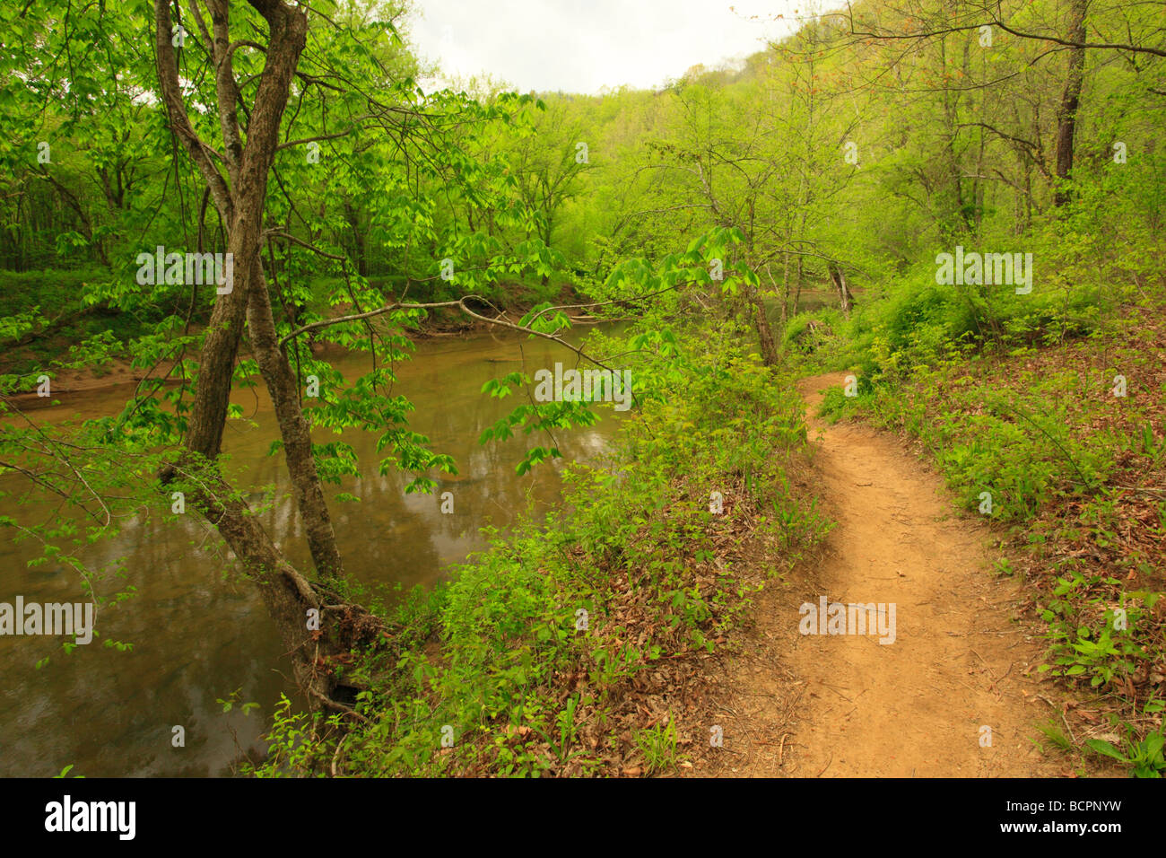 View of Red River from Sheltowee Trace National Recreation Trail Red