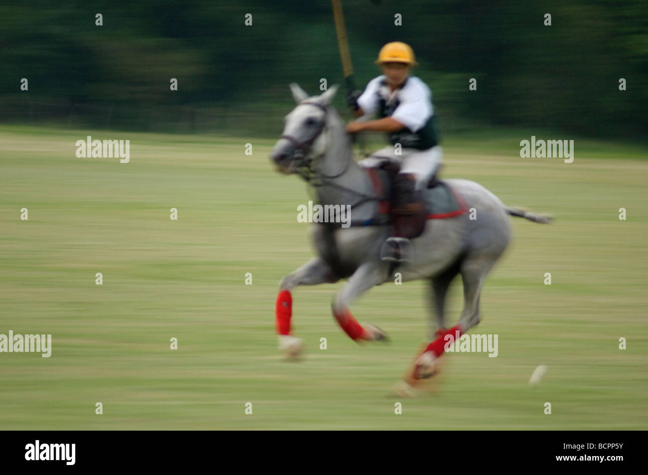 Blur of polo player on pony chasing ball Stock Photo