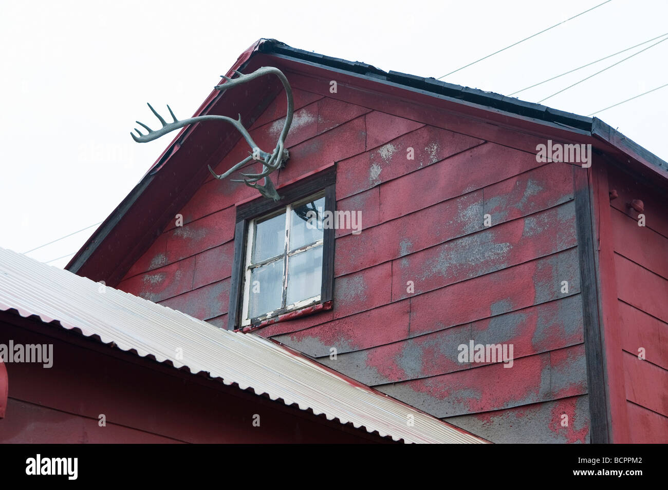 ANTLERS DECORATE THE SIDES OF AN OLD STORE IN NOME ALASKA Stock Photo