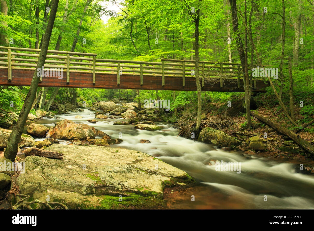 Cascades waterfall little stony creek hi-res stock photography and ...