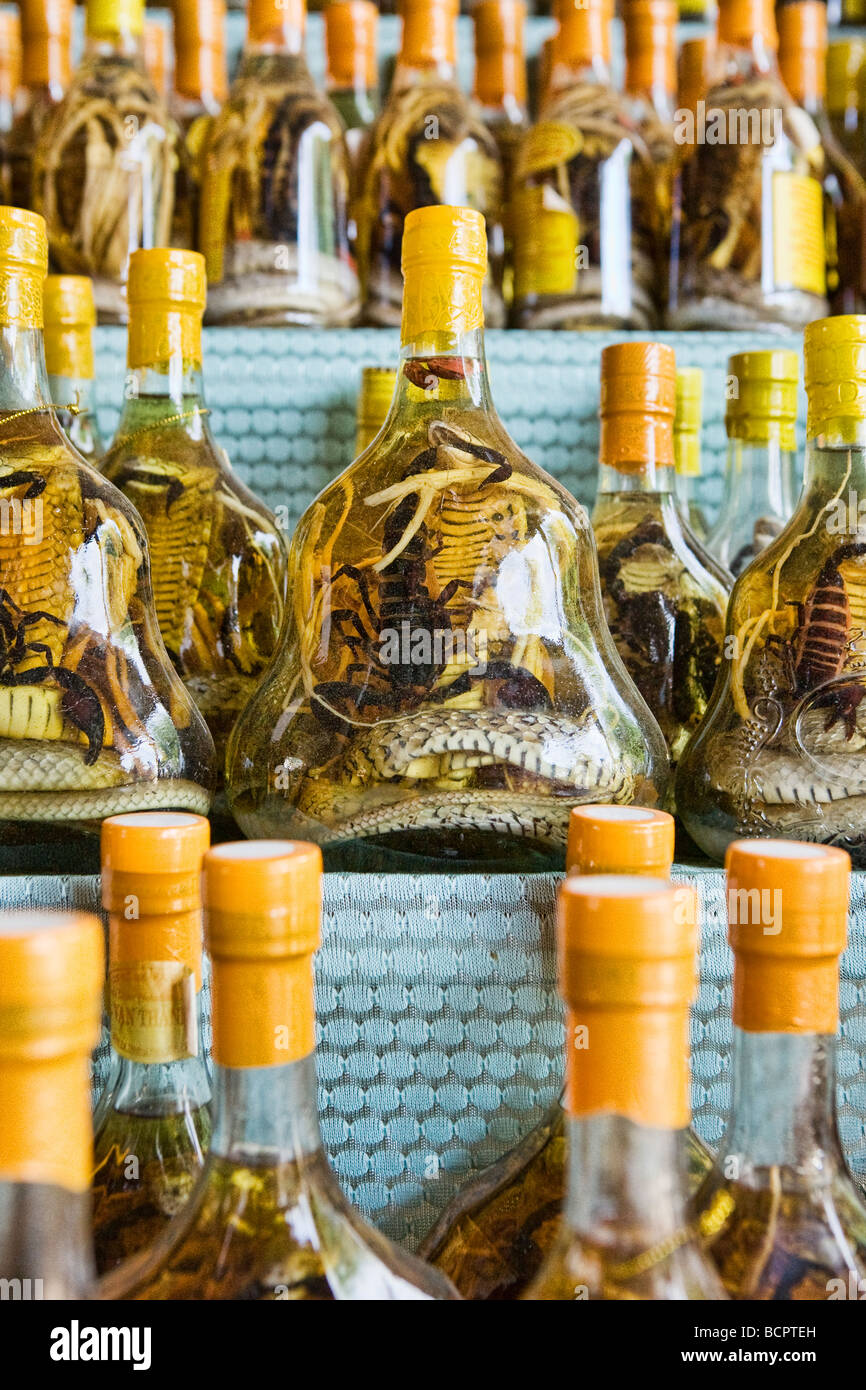 Bottles of snake wine on display in Vietnam Stock Photo