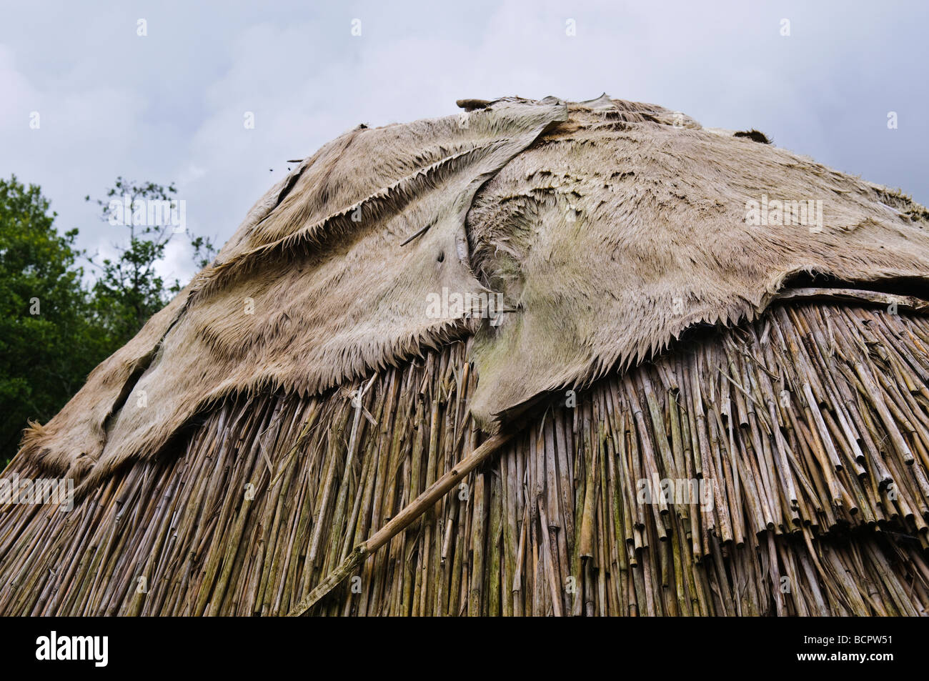 Thatch and hide covered roof on a stone age house in the Irish National Heritage Park, County Wexford Stock Photo - Alamy Thatch and hide covered roof on a stone age house in the Irish National Heritage Park, County Wexford Stock Photo - Alamy