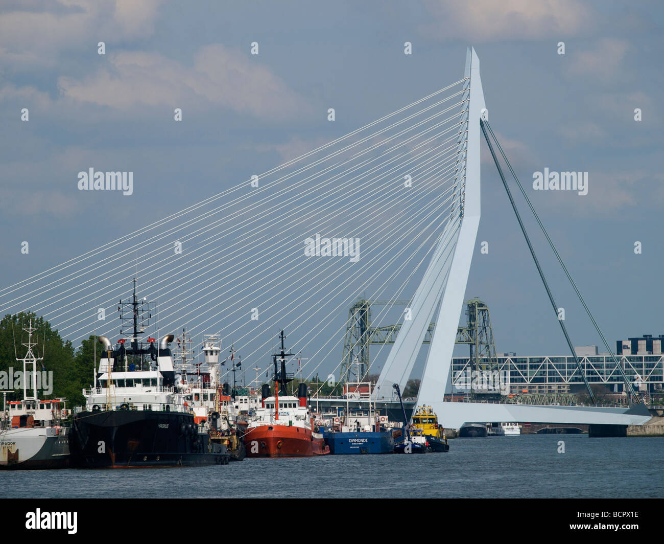Rotterdam bridges with Erasmus suspension bridge in front and the old lifting bridge in the back Stock Photo