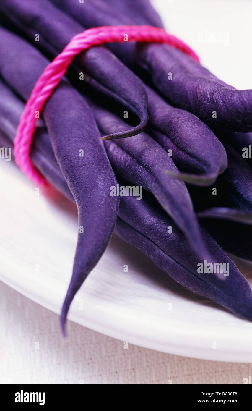 Phaseolus Vulgaris ‘Purple Queen’, French Bean Stock Photo