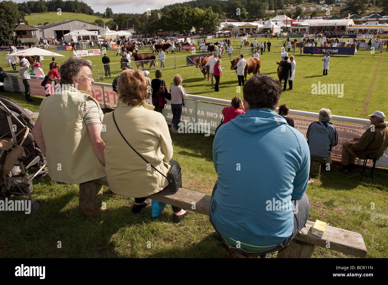 Spectators sit in the sunshine watching the cattle judging competition at the Royal Welsh Agricultural Show outdoor event. Stock Photo