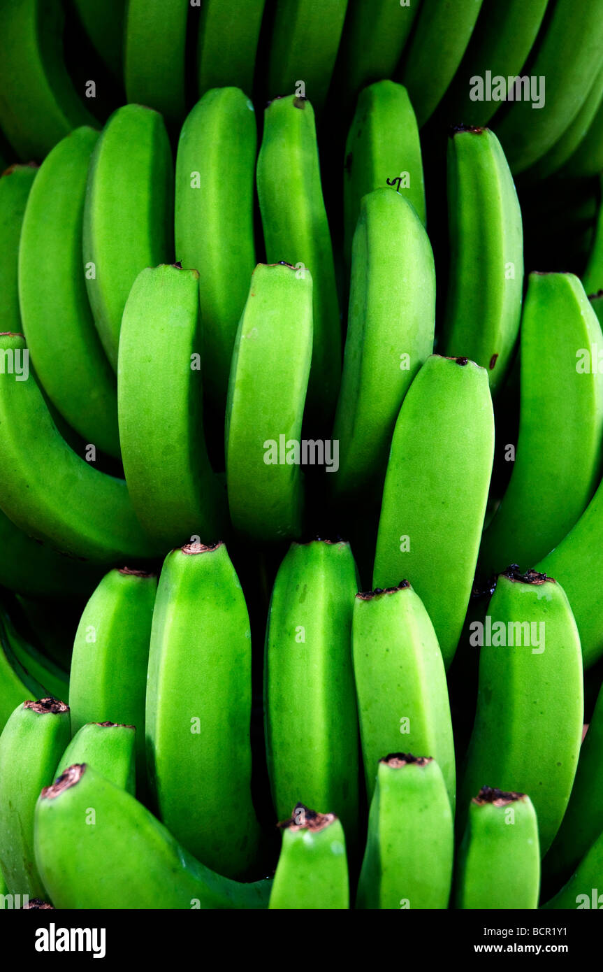 Close up shot of a banana bunch Stock Photo