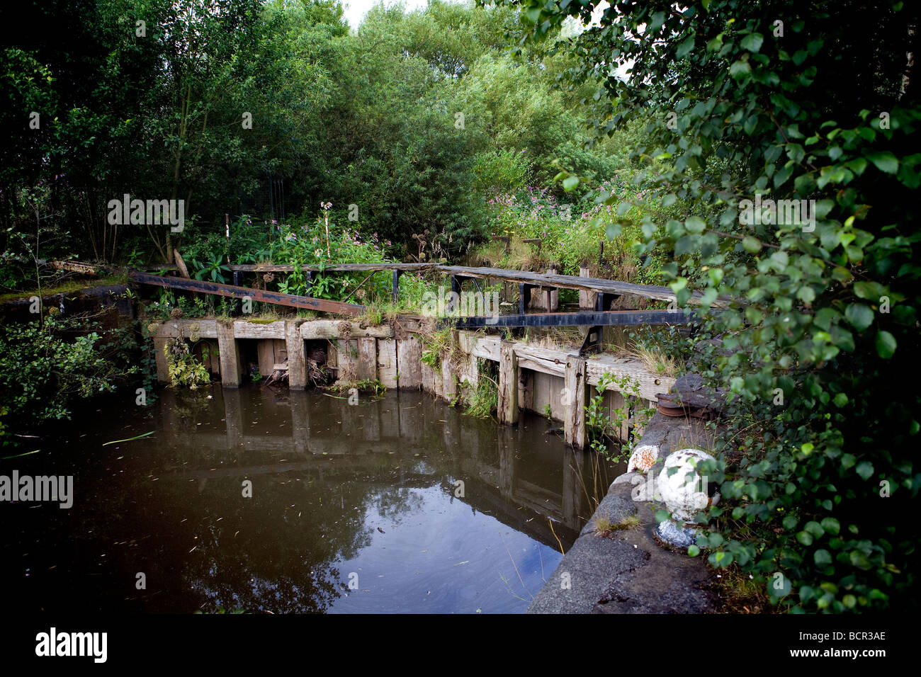 Lock gates, unused and deteriorating amongst the trees and weeds, along the Manchester Ship Canal with a bollard on the jetty Stock Photo