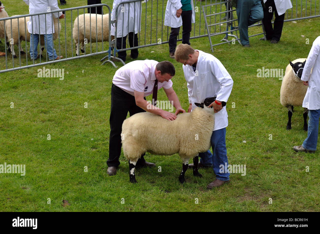 The Royal Welsh Show, Builth Wells, Powys, Wales, UK Stock Photo Alamy