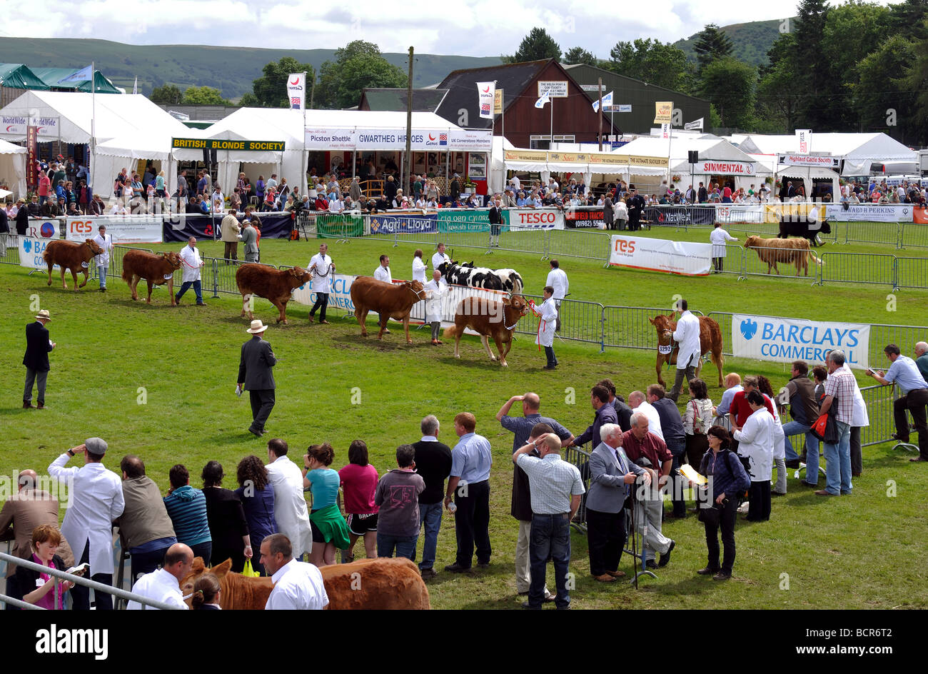 The Royal Welsh Show, Builth Wells, Powys, Wales, UK Stock Photo