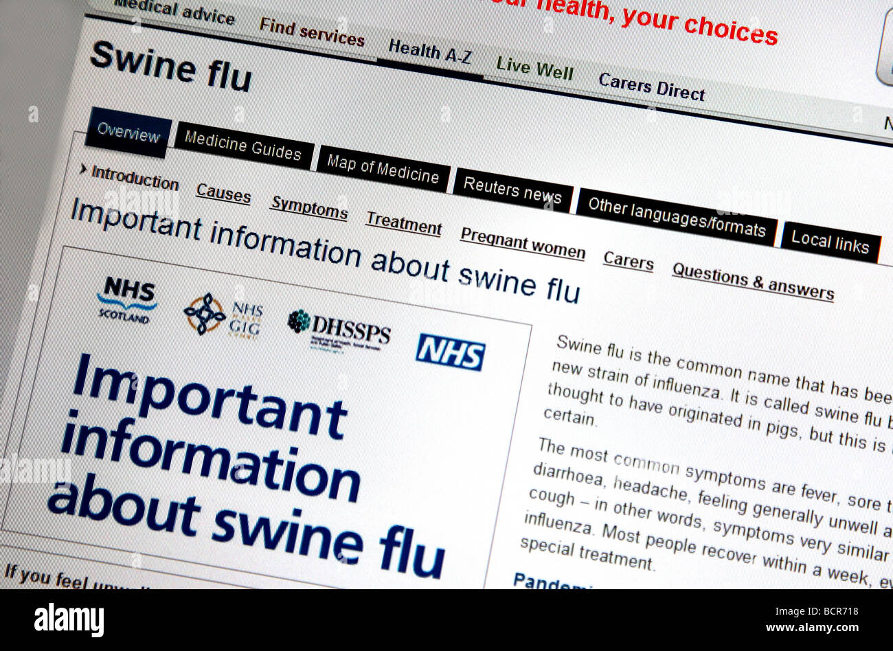 Swine flu advice on NHS website Stock Photo
