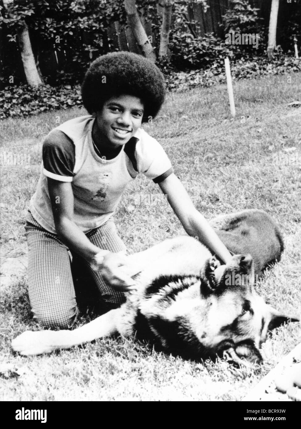 MICHAEL JACKSON playing with his pet Alsatian Winston in 1973 Stock Photo