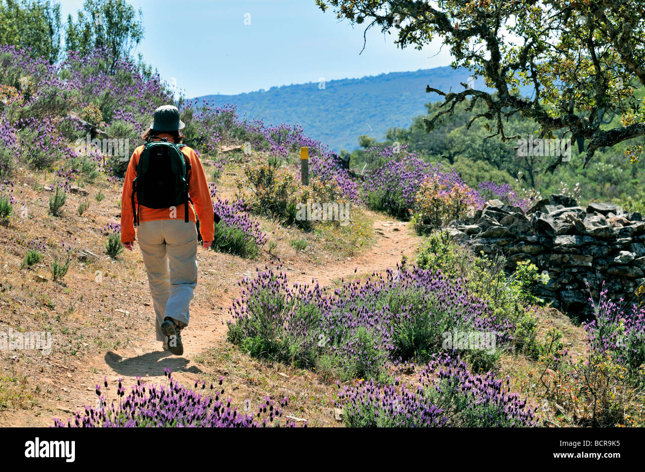 Spain, Extremadura: Trekking in the Nature Park Monfragüe Stock Photo