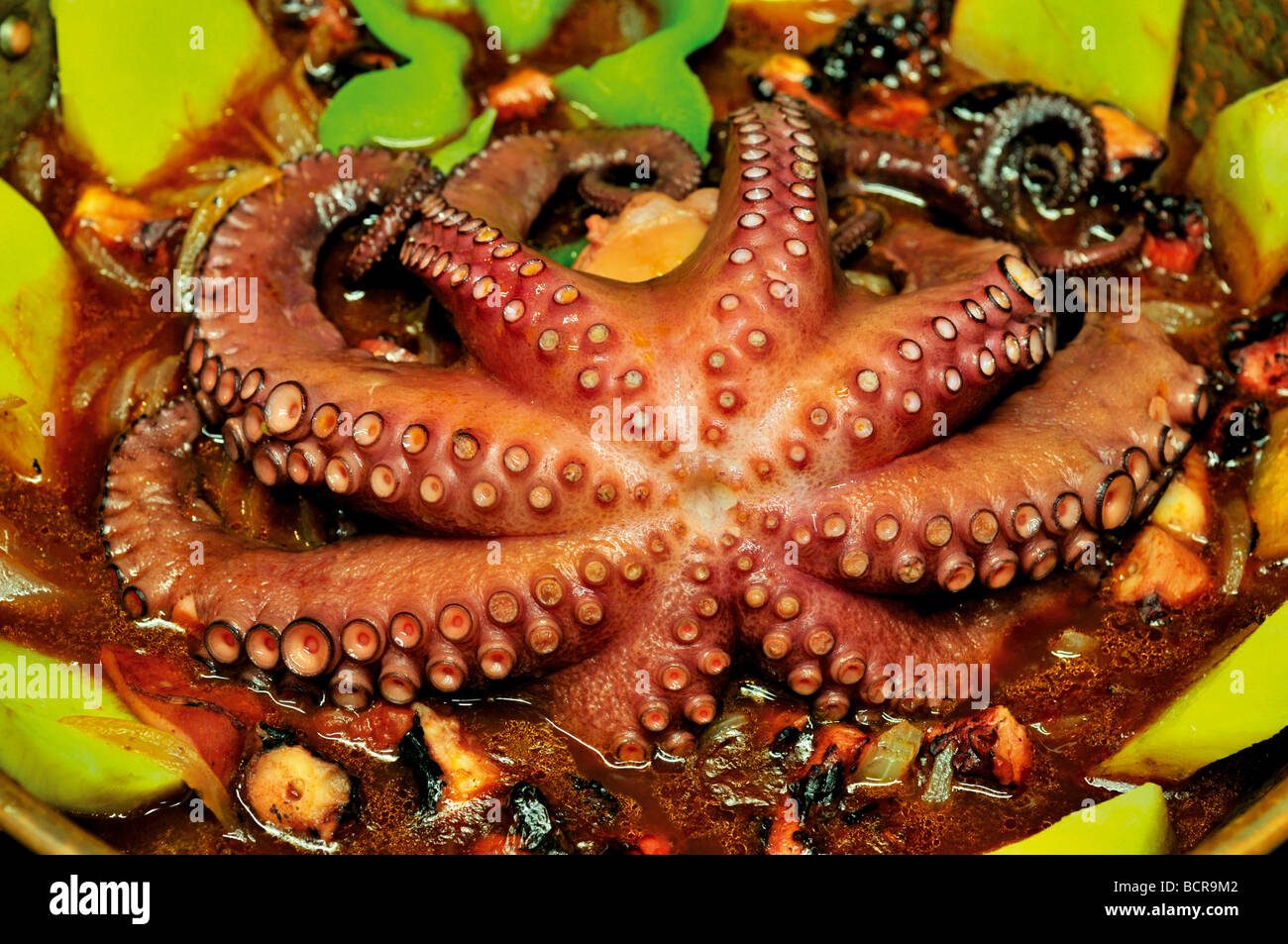 Portugal, Algarve: Squid is a speciality of Jose Pinheiro in his restaurant Eira do Mel in Vila do Bispo Stock Photo