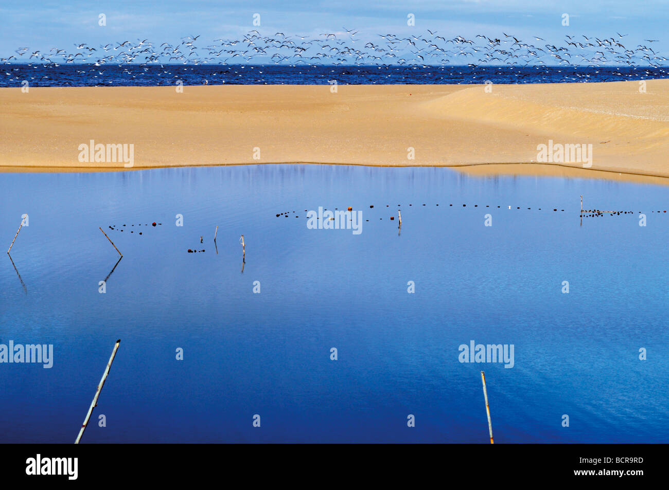 Portugal, Alentejo: Dunes and lagoons at the beach Praia de Melides Stock Photo