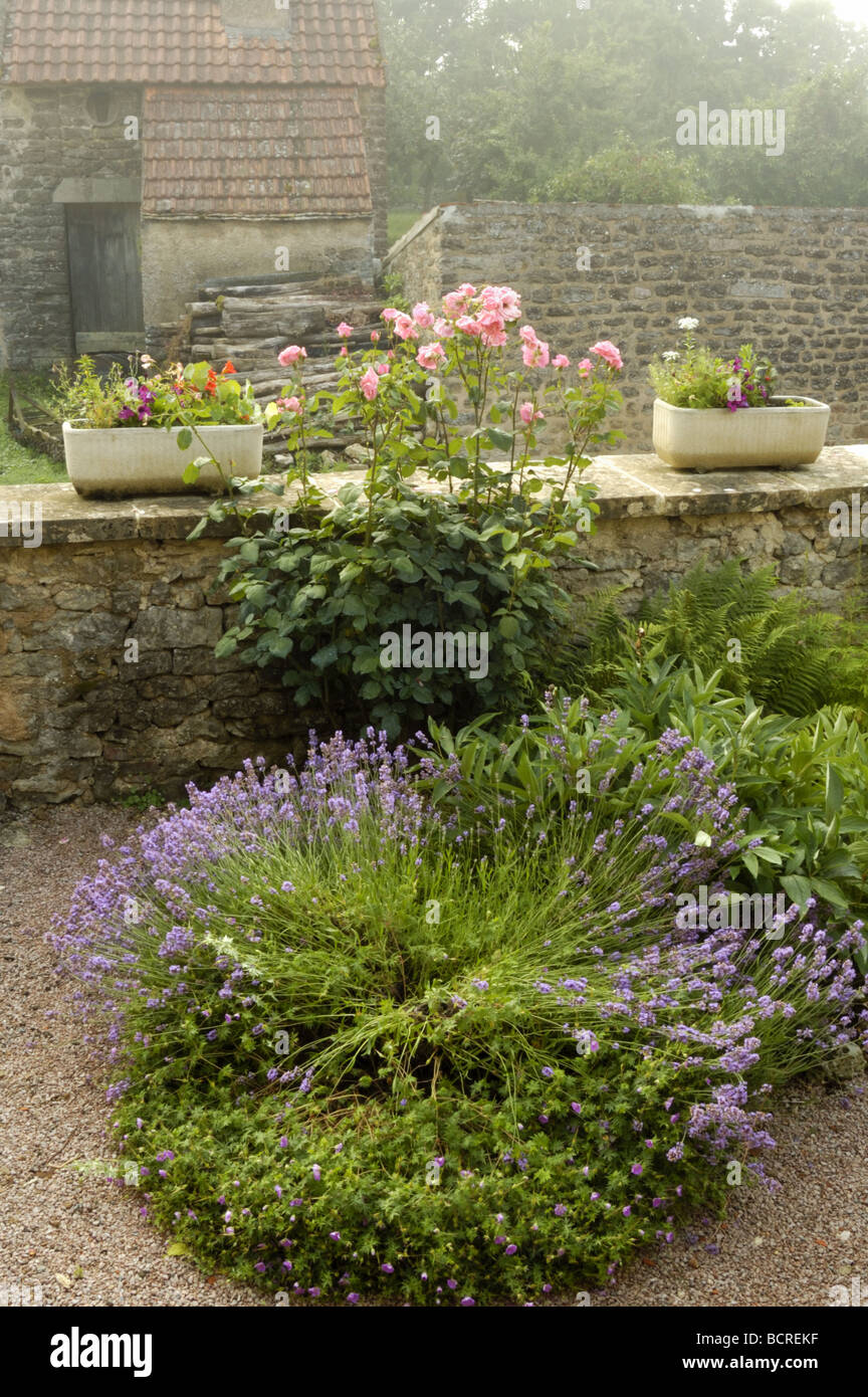 Cottage garden Burgundy France Stock Photo Alamy