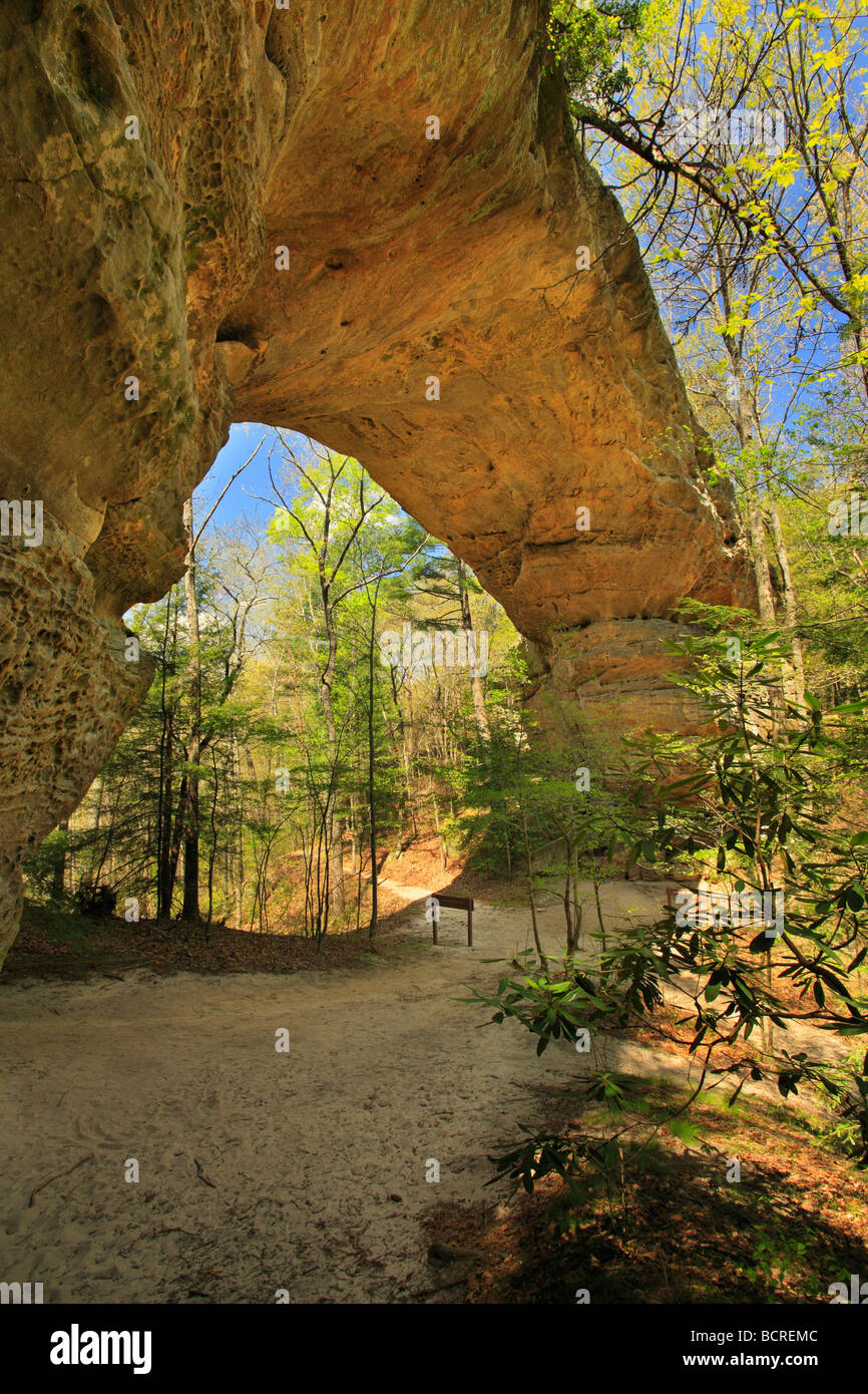 Twin Arches Big South Fork National River and Recreation Area Tennessee