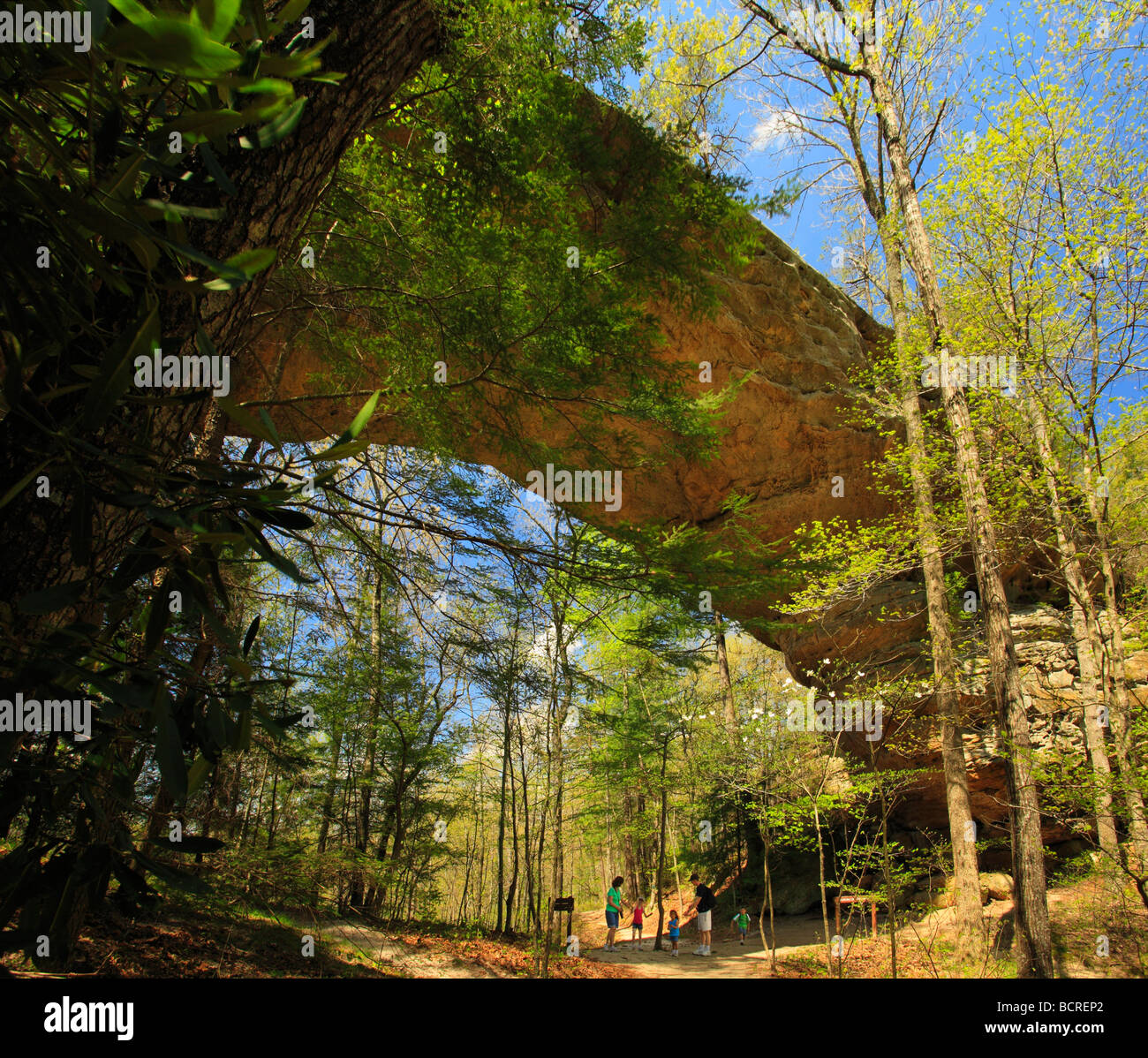 Twin Arches Big South Fork National River and Recreation Area Tennessee