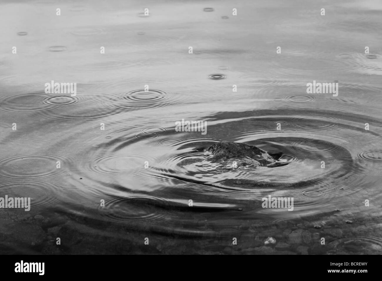 Ripples on Thirlmere from raindrops and stones Stock Photo