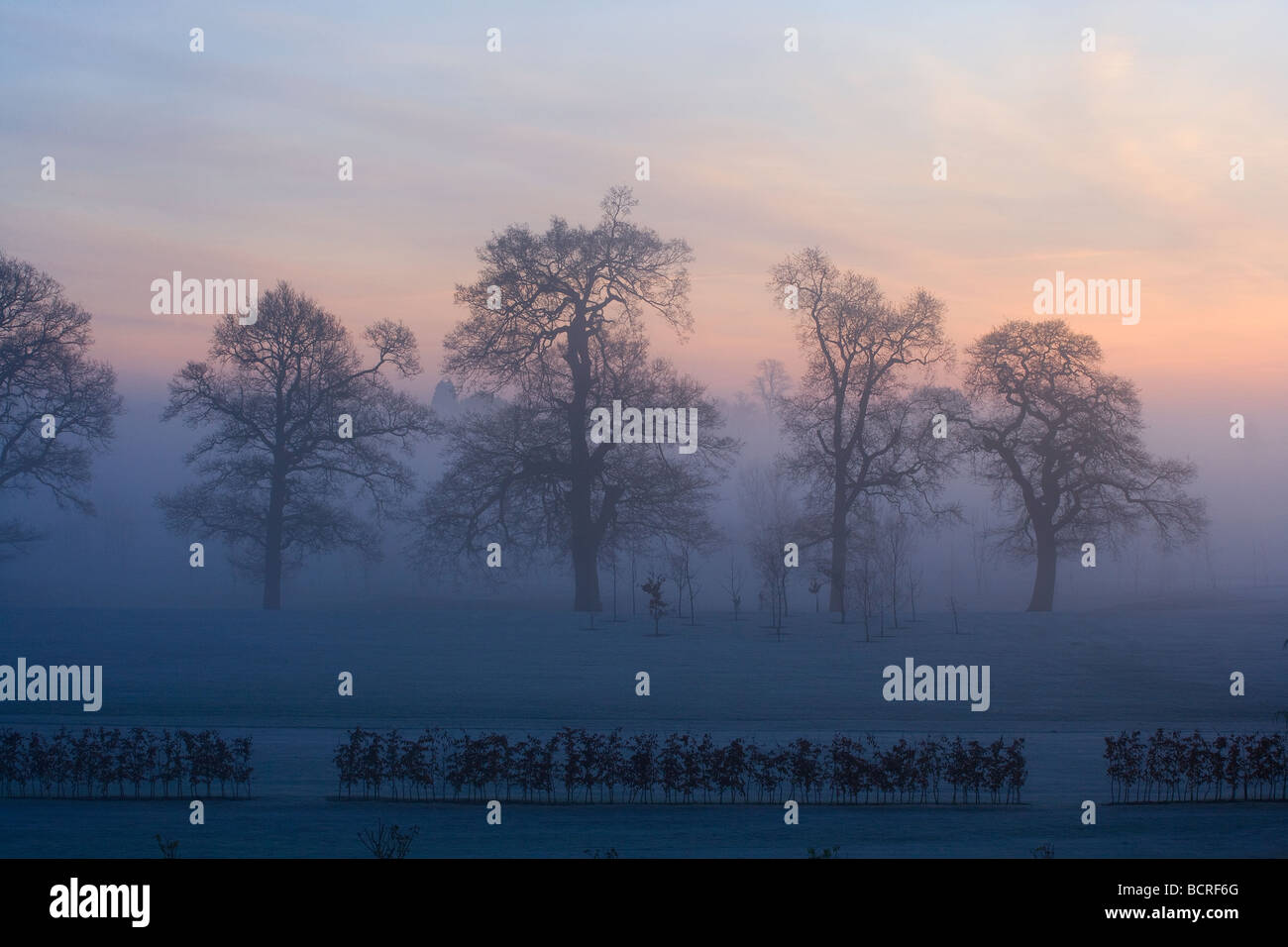 Winter sun rise Stock Photo - Alamy