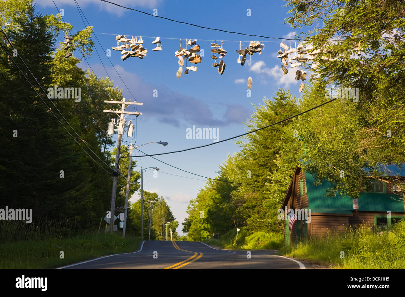 New York NY Big Moose 123279 1903 62500 Restoration Stock Photo Alamy