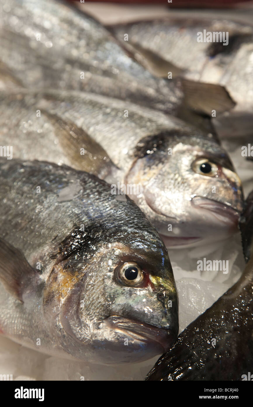 Mercado De Triana High Resolution Stock Photography and Images - Alamy