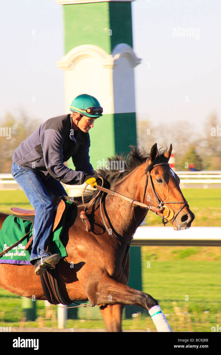 Thoroughbred race course hi-res stock photography and images - Alamy